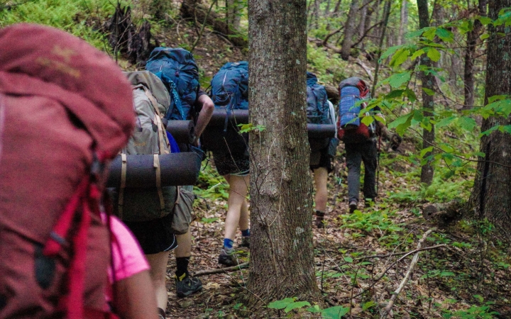 A group of people wearing backpacks hike in a line away from the camera through a green wooded area